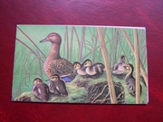 Belgia 1989 MNH Karnet Fauna Ptaki Kaczki