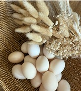 Jaja lęgowe zielononóżki 20 sztuk bardzo dobre zalężenie 