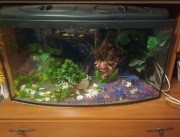 Akwarium szklane 120l