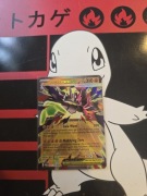 MEGA ZYGARDE EX POR 047/088 PERFECT ORDER