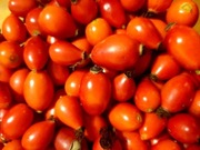 DZIKA RÓŻA -OWOCE SUSZONE  EKOLOGICZNE 6,5zł 100G