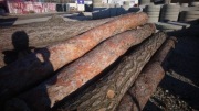 Drewno kłoda sosna opałowe
