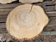 7 JESION 80/70/10 cm Blat Plaster Drewna Stolik Żywica Epoxy DIY Live Edge