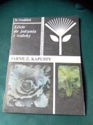 Jarmuż Kapusty Grudzień