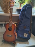 Ortega Rudawn Earth ukulele koncertowe + torba + stojak
