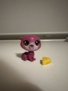 Littlest pet shop kuna