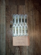 Avon TTA Forever Próbki 11 szt Today Tomorrow Always 