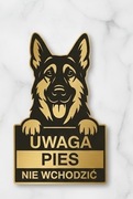 Tabliczki ostrzegawcze grawerowane uwaga zły pies Golden retriever
