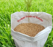 Pszenica Karma 25 kg 