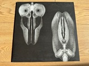 SKULL DEFEKTS Dances In Dreams Of The Known Unknown [Daniel Higgs LUNGFISH]