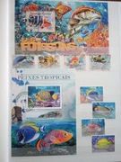 Kolekcja znaczków kasowanych Fauna Ryby raf różne gatunki w albumie.