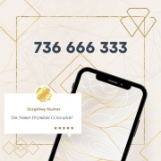 Szczęśliwy Złoty Numer 736 666 333