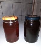 Miód wielokwiatowy i spadziowy