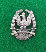 Odznaka Wzorowy Żołnierz numerowana MON po 1990 & Odznaka MZ