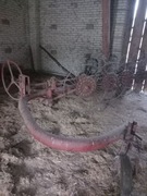 Przewracarka gwiazdowa 