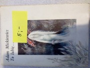 To Lubię  poezja Adama Mickiewicza