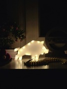 Lampka Nocna Wk Dzik