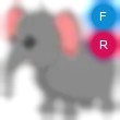 Elephant Adopt Me AM