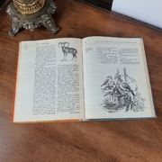 Głos przyrody jesień zima 1969 r.