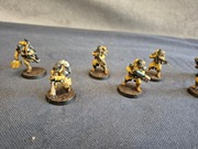 Death Korps of Krieg Infantry Squad Pro Painted