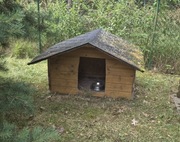 Buda dla psa solidna