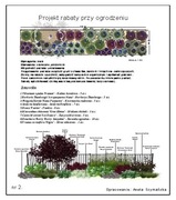 6. Projekt rabaty przy ogrodzeniu 2  hortensja bukietowa, miskant
