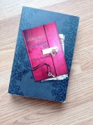 "Tajemnice Ali" Sara Shepart