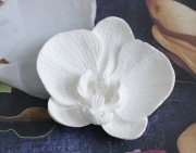 Storczyk, kwiatek z masy cukrowej na tort 