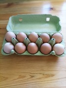 Jajka kurze z własnego chowu.