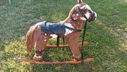 konik na biegunach 