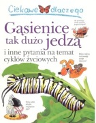 CIEKAWE DLACZEGO GĄSIENICE TAK DUŻO JEDZĄ