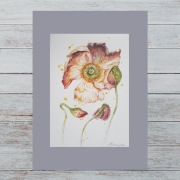 Mak akwarela Prezent