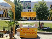 Stoisko z lodami, konserwator , zamrażarka