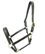 Kantar Canter Club, rozmiar cob, czarny