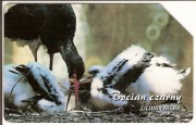 nr 1340 - Zwierzęta chronione 9 - ptaki - Bocian Czarny 