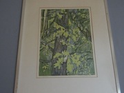 Obraz ,,Las " stary drzeworyt 1969 r sygnowany