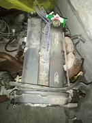 Silnik Zetec 1.8 benzyna 115km Ford Focus