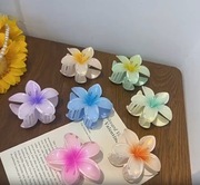 Zestaw Klipsów do Włosów Kwiaty Plumerii – Eleganckie Klamry (6 szt.)