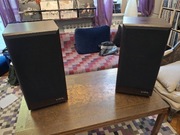 Kolumny Infinity Studio Monitor 100