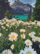 Obraz diamond paiting.