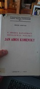 U źródeł katastrofy dziejowej Polski. Jan Amos Komensky
