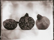 Ambrotypia - Hell's Kitchen 007