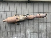 Katalizator Toyota Prius 30 1.8L 2010-2015