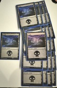 22x Swamp MTG karty Magic the Gathering