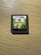 Ben 10 Protector Of Earth Nintendo DS