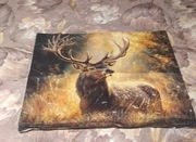 Poszewka na poduszkę 