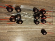 Spławik Traper G5 10gr 