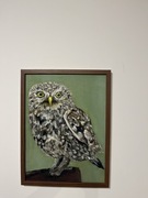 Sowa. Obraz olejny do salonu, biura. 30x40 cm z ramą