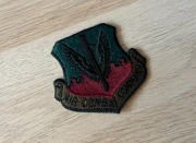 Naszywka - USAF - Air Combat Command (ACC)