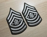 Naszywka - US Army - Sergeant Major Of The Army E-9 (Green/White) - para